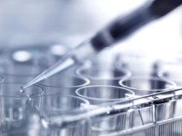 한독, AACR 2024에서 폐암 치료 신약물질 HDBNJ-2812 연구개발 결과 포스터&nbsp;발표